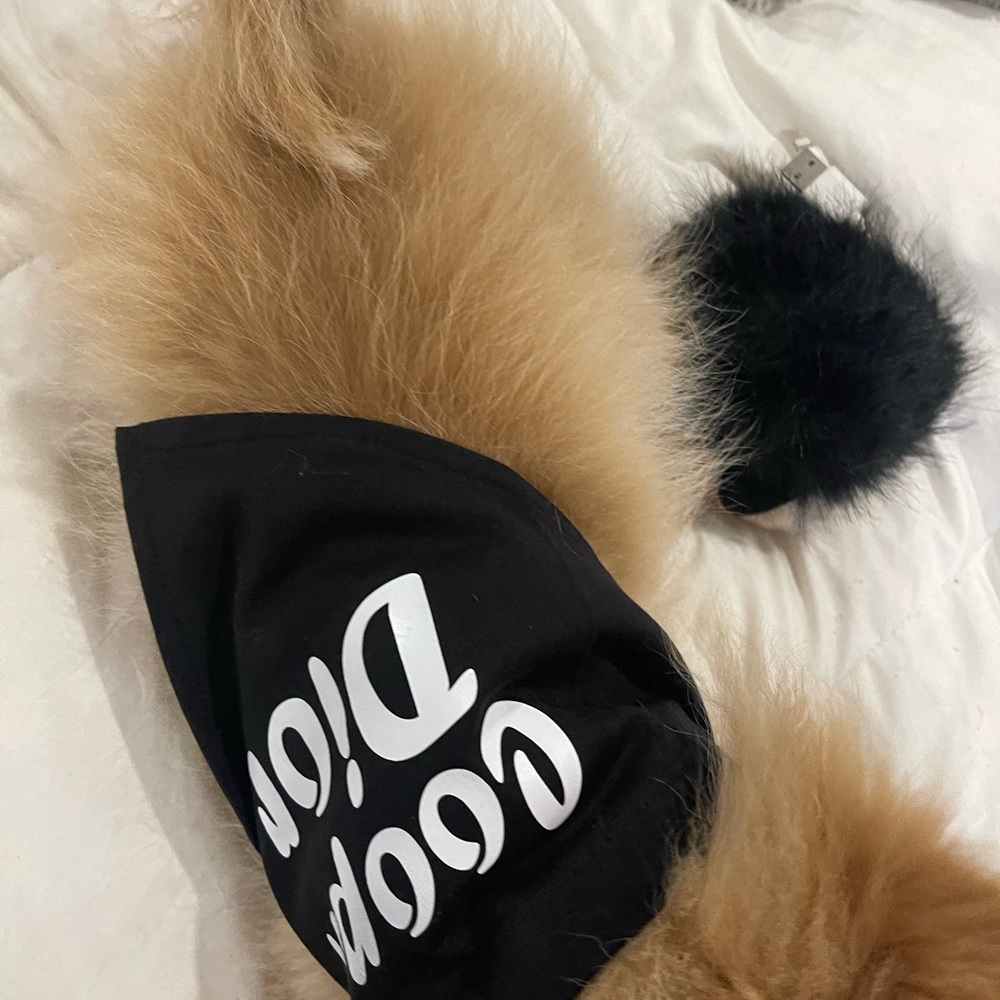 Giveaways ToDAY! 🎁🛑Lots of Surprises! 🫵🧿🪬 - Picture 4 of 16